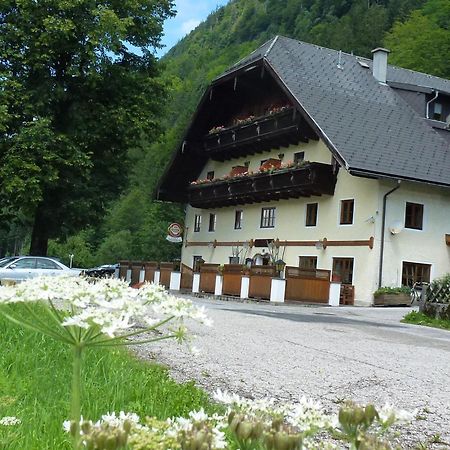 Gasthof Steinbraeu Faistenau Exteriér fotografie